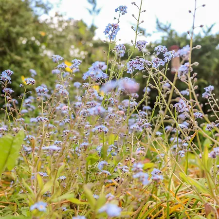 Holiday home Spout Sedbergh
